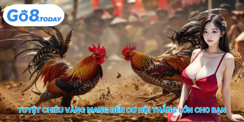 Tuyệt chiêu vàng mang đến cơ hội thắng lớn cho bạn