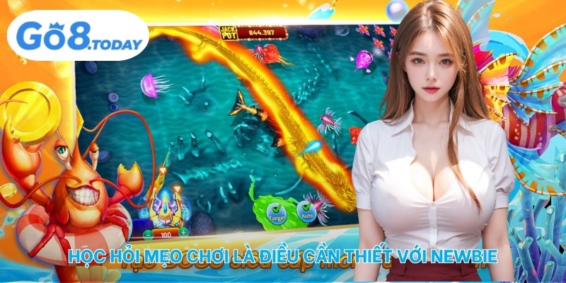 Học hỏi mẹo chơi là điều cần thiết với newbie